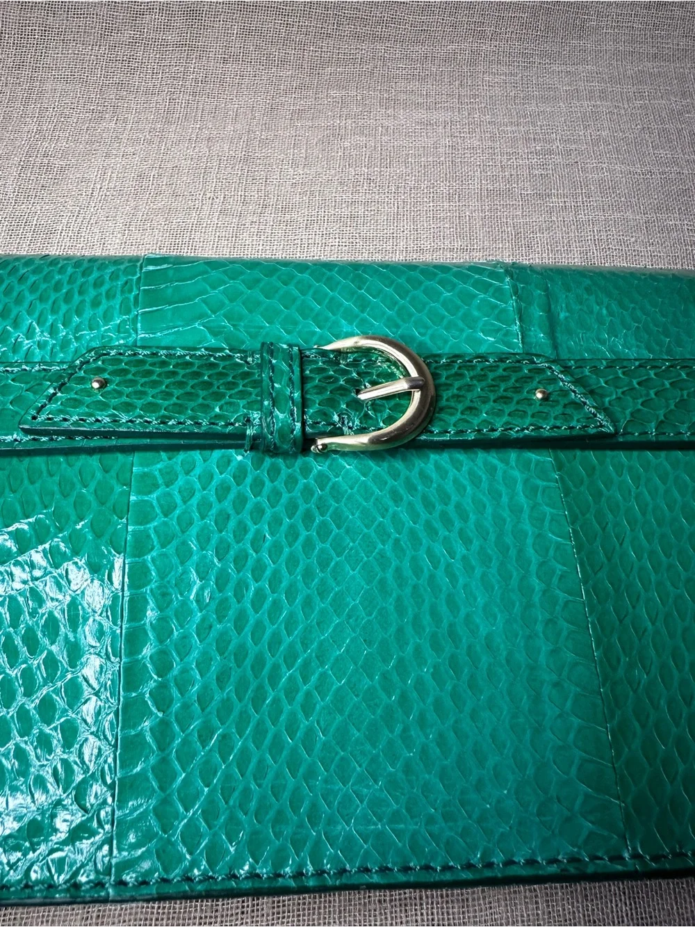 Cole Haan Green Keaton Snake Clutch RESCUE